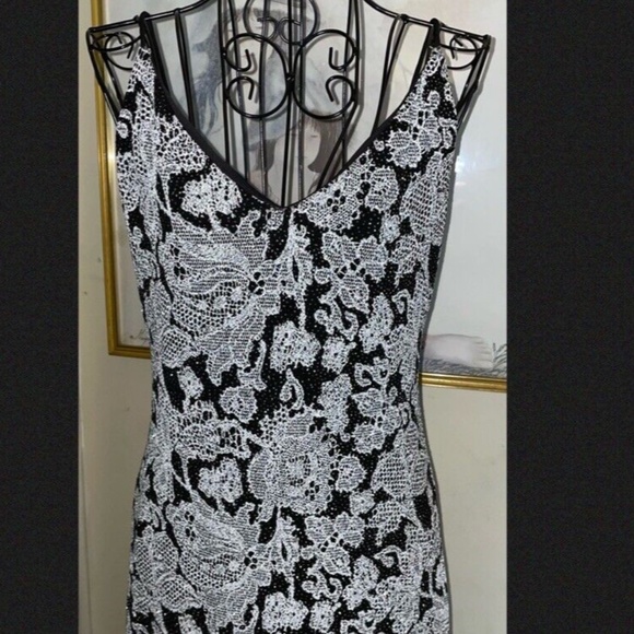 ARIANNA BY RACHEL KAYE SILVER/BLACK FLORAL LACE FULL LENGTH DRESS~STRETCH~10 - Picture 5 of 6